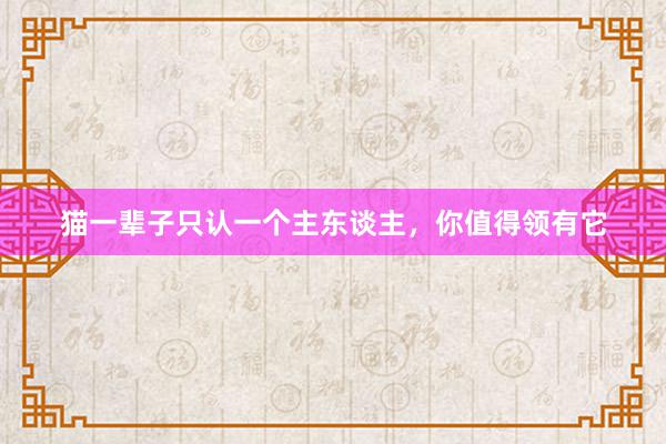 猫一辈子只认一个主东谈主，你值得领有它